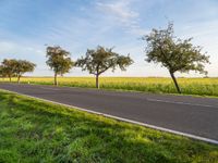 a motorcycle and its rider are traveling down the road near a field of grass and trees