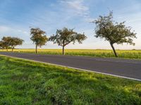 a motorcycle and its rider are traveling down the road near a field of grass and trees