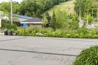 a person is walking on a sidewalk, while an umbrella stands in the background and shrubs