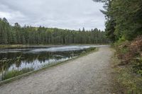 Cloudy Day Landscape in Ontario, Canada