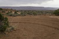 Cloudy Day Landscape with Vegetation