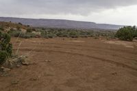 Cloudy Day Landscape with Vegetation