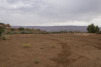 Cloudy Day Landscape with Vegetation