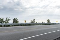 a paved road with yellow traffic signs on the side and trees in the background on a cloudy day