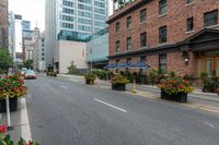 an image of the street and sidewalk on a cloudy day in the city, with flowers growing near the curb