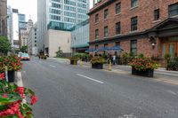 an image of the street and sidewalk on a cloudy day in the city, with flowers growing near the curb