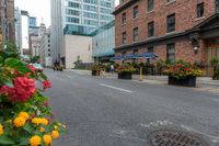 an image of the street and sidewalk on a cloudy day in the city, with flowers growing near the curb