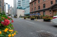 an image of the street and sidewalk on a cloudy day in the city, with flowers growing near the curb