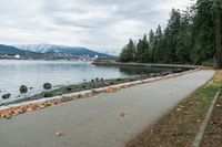 there is a bench on the pavement near the water and rocks and trees on the bank