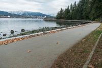 there is a bench on the pavement near the water and rocks and trees on the bank