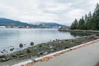 there is a bench on the pavement near the water and rocks and trees on the bank