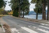 Cloudy Day in Vancouver: Residential Road