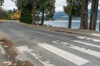 Cloudy Day in Vancouver: Residential Road