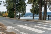 Cloudy Day in Vancouver: Residential Road