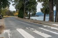 Cloudy Day in Vancouver: Residential Road