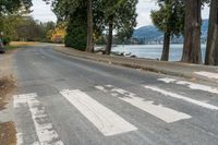 Cloudy Day in Vancouver: Residential Road