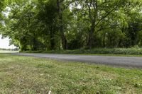 Cloudy Forest Road: A Natural Landscape