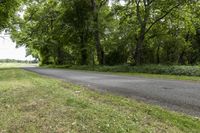 Cloudy Forest Road: A Natural Landscape