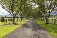 Cloudy Landscape: Rural Road with Tree