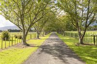 Cloudy Landscape: Rural Road with Tree