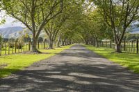 Cloudy Landscape: Rural Road with Tree