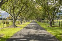 Cloudy Landscape: Rural Road with Tree