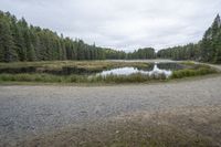 a dirt road with a lake in front of it near a wooded area with trees