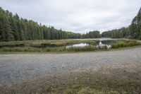 a dirt road with a lake in front of it near a wooded area with trees