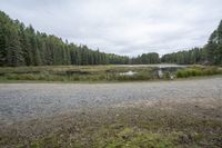 a dirt road with a lake in front of it near a wooded area with trees