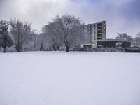 a person standing in the snow near tall buildings on a snowy day, with trees and buildings behind