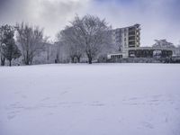 a person standing in the snow near tall buildings on a snowy day, with trees and buildings behind