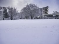 a person standing in the snow near tall buildings on a snowy day, with trees and buildings behind