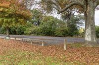 Cloudy Landscape with Road and Trees