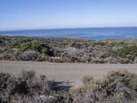 a large body of water on the ground with bushes in front of it and people riding motorcycles