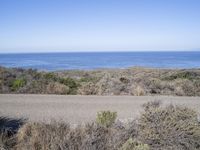 a large body of water on the ground with bushes in front of it and people riding motorcycles