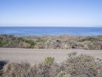 a large body of water on the ground with bushes in front of it and people riding motorcycles