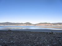 some animals on the beach next to mountains and water and land in the background,