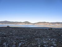 some animals on the beach next to mountains and water and land in the background,