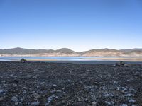 some animals on the beach next to mountains and water and land in the background,