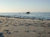 Coastal Beach by the Ocean: Clear Skies and Sunshine