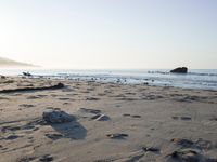 Coastal Beach by the Ocean: Clear Skies and Sunshine