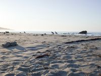 Coastal Beach by the Ocean: Clear Skies and Sunshine