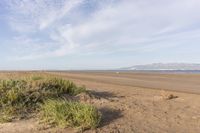 a lone sand dune on a beach near water with a distant view in the background