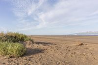 a lone sand dune on a beach near water with a distant view in the background