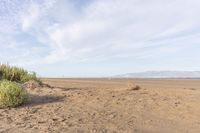 a lone sand dune on a beach near water with a distant view in the background