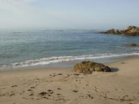 Coastal Beach: Wood Horizon Under a Clear Sky