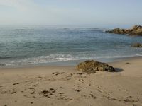 Coastal Beach: Wood Horizon Under a Clear Sky