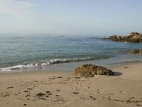 Coastal Beach: Wood Horizon Under a Clear Sky