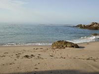 Coastal Beach: Wood Horizon Under a Clear Sky