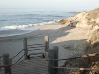 Coastal Beach: Wood Horizon Under a Clear Sky